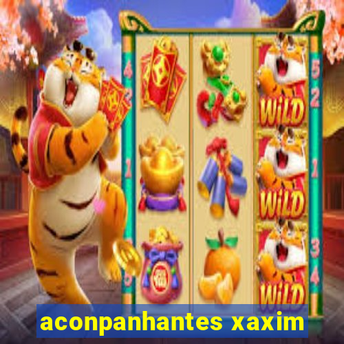 aconpanhantes xaxim